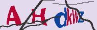 Code captcha